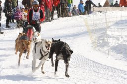 Lenk 2012 SM